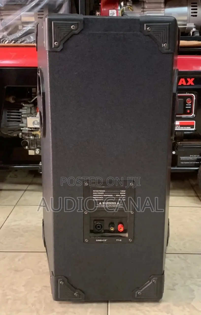 10” Vildour Top Speaker