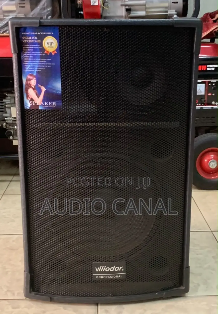 10” Vildour Top Speaker
