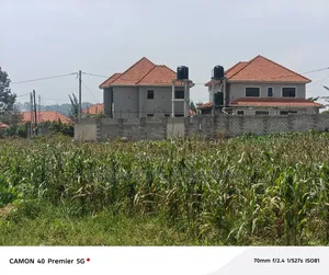 Quick Sale in Parliamentary Sacco