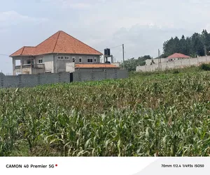 Quick Sale in Parliamentary Sacco