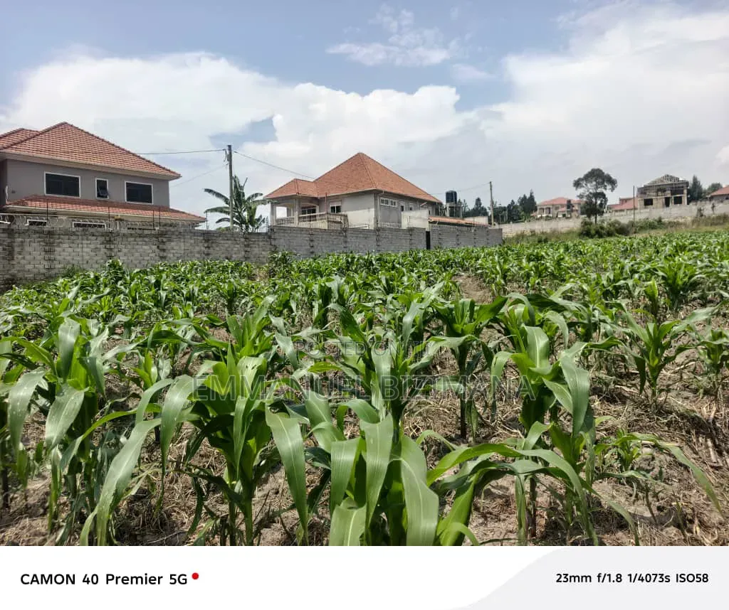 Quick Sale in Parliamentary Sacco