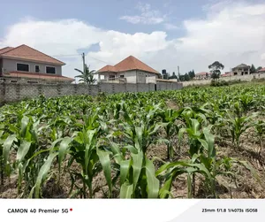 Quick Sale in Parliamentary Sacco
