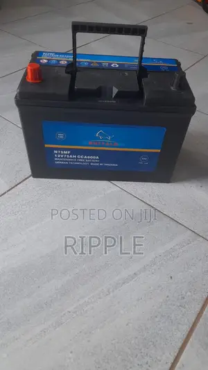 N75 75Ah Buffalo Battery 600CCA 12V