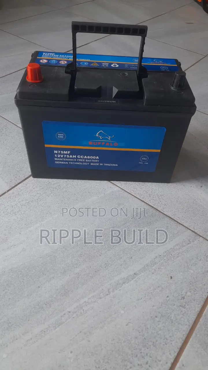 75Ah Buffalo N75/R Right Hand Car Battery 600CCA 12V