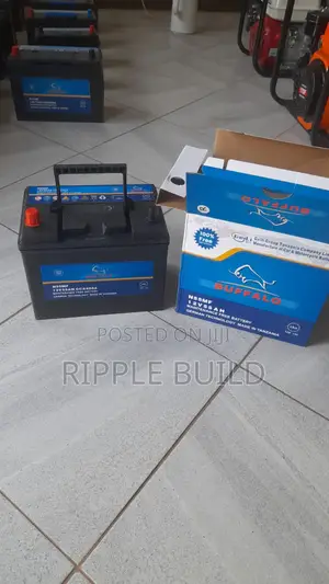 Buffalo N55/R Right Hand Car Battery 450CCA 12V