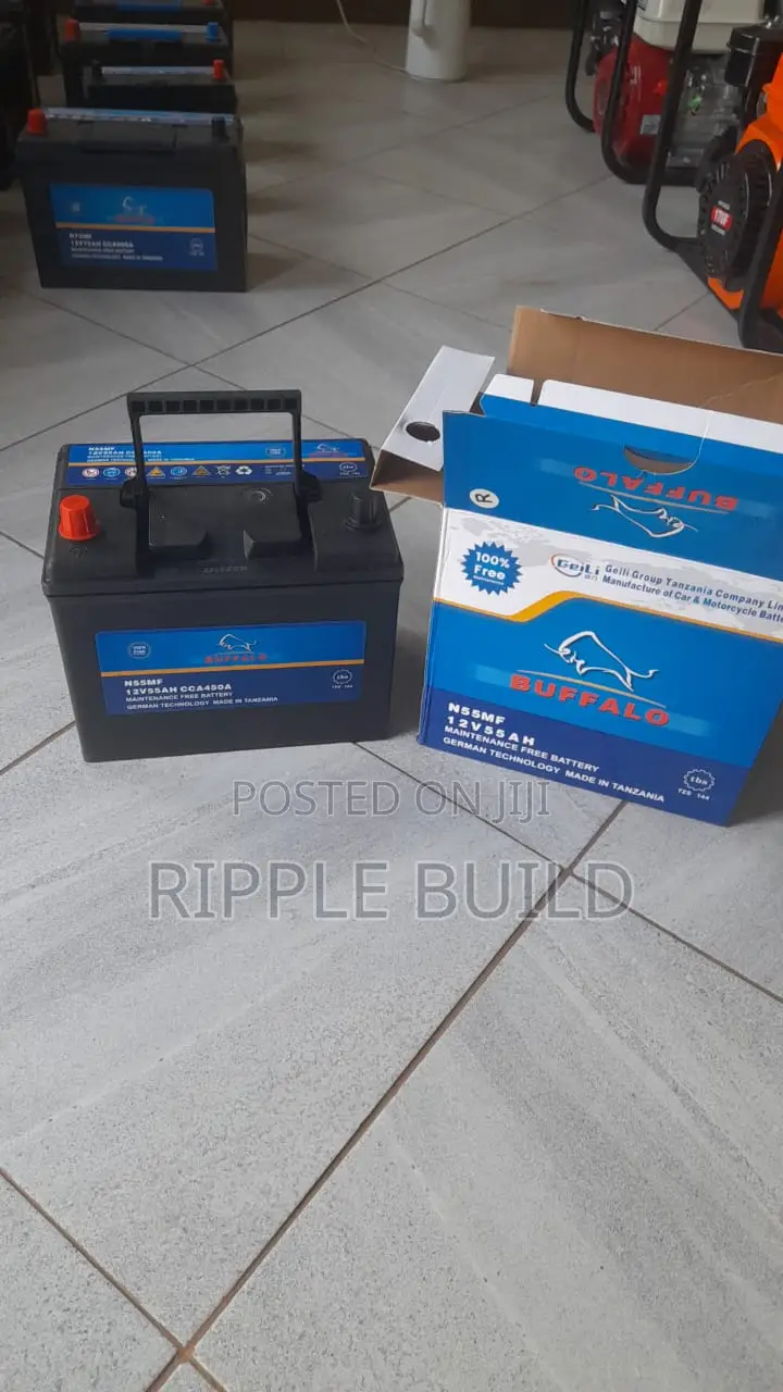 Buffalo N55/R Right Hand Car Battery 450CCA 12V