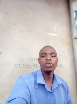 Am a Male Man