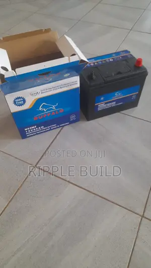 55Ah Buffalo N55/L Left Hand Car Battery 450CCA 12V