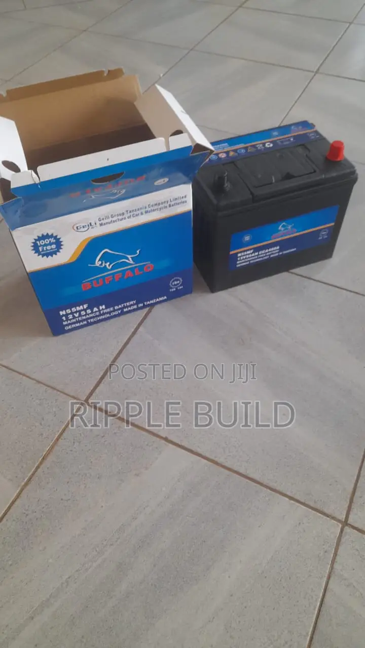 55Ah Buffalo N55/L Left Hand Car Battery 450CCA 12V