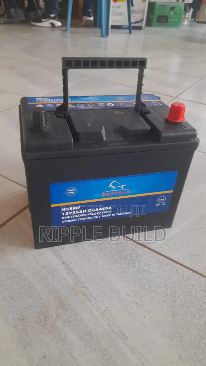 55Ah Buffalo N55/L Left Hand Car Battery 450CCA 12V