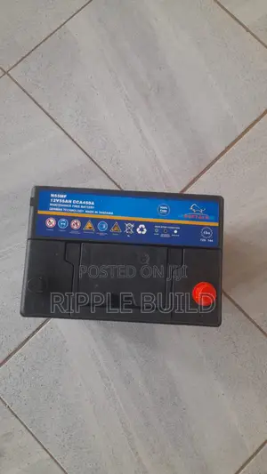 55Ah Buffalo N55/L Left Hand Car Battery 450CCA 12V