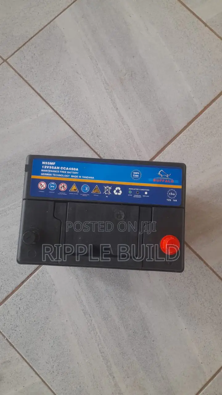 55Ah Buffalo N55/L Left Hand Car Battery 450CCA 12V