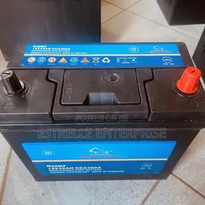 45Ah Buffalo N45/L Left Hand Car Battery 360CCA 12V