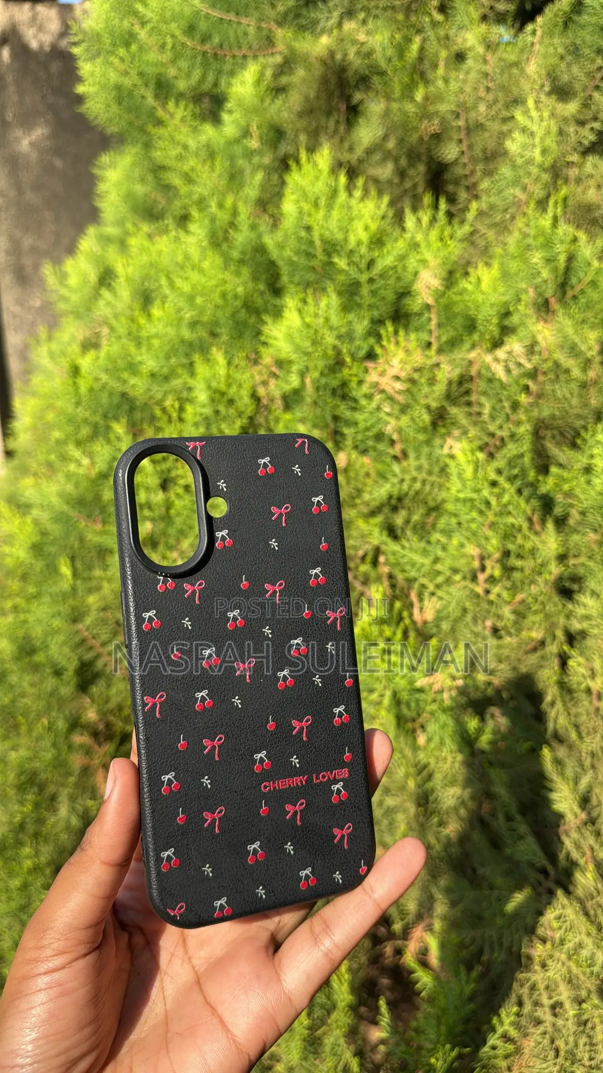 iPhone 16 Phone Cases