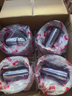 Pistons - Canter 4D33 Izumi