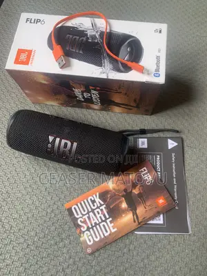 JBL Flip 6