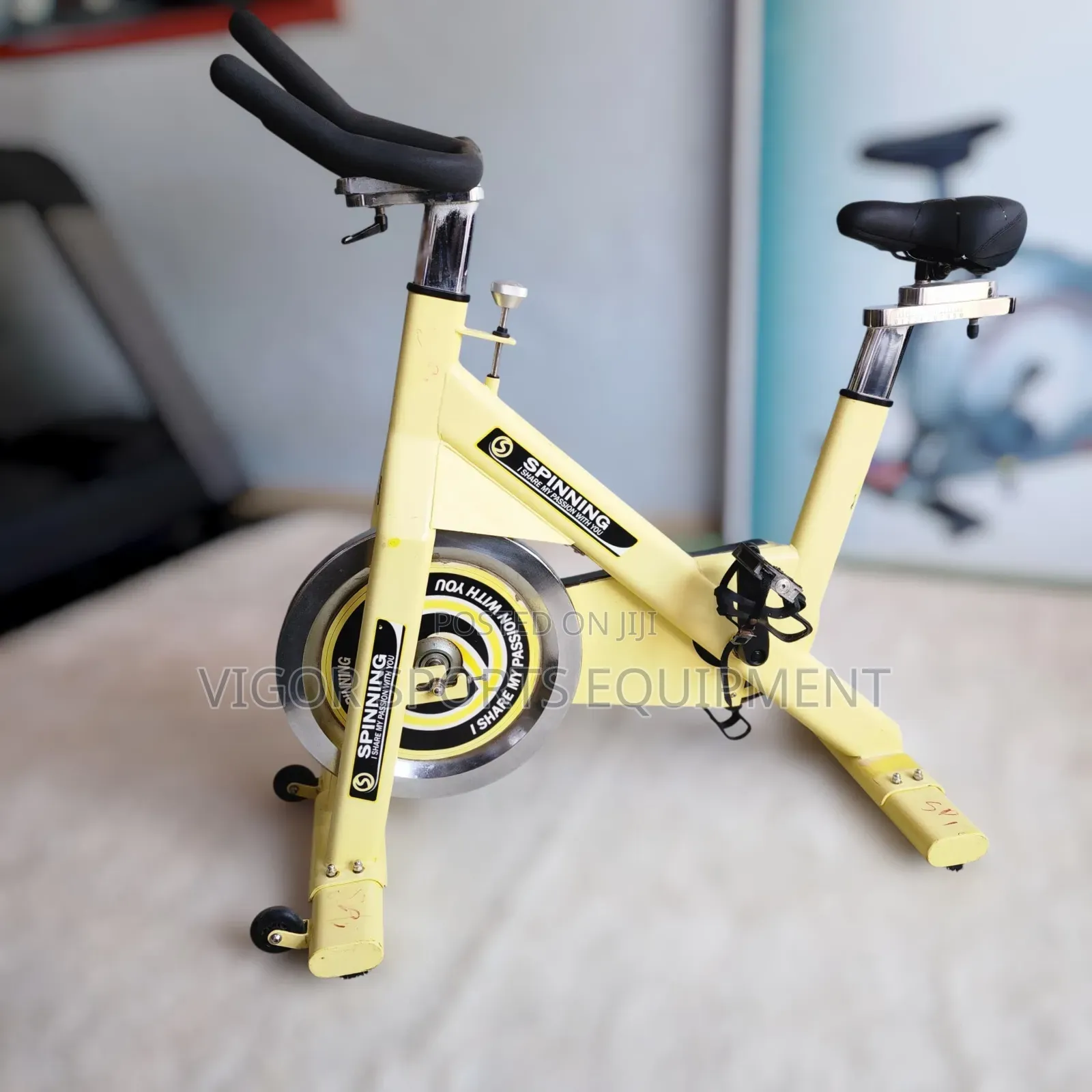 Vigor Spinning Bike