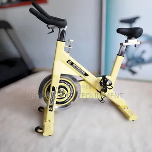 Vigor Spinning Bike