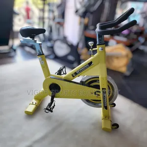 Vigor Spinning Bike