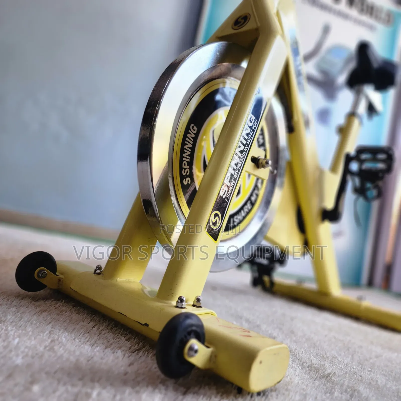 Vigor Spinning Bike