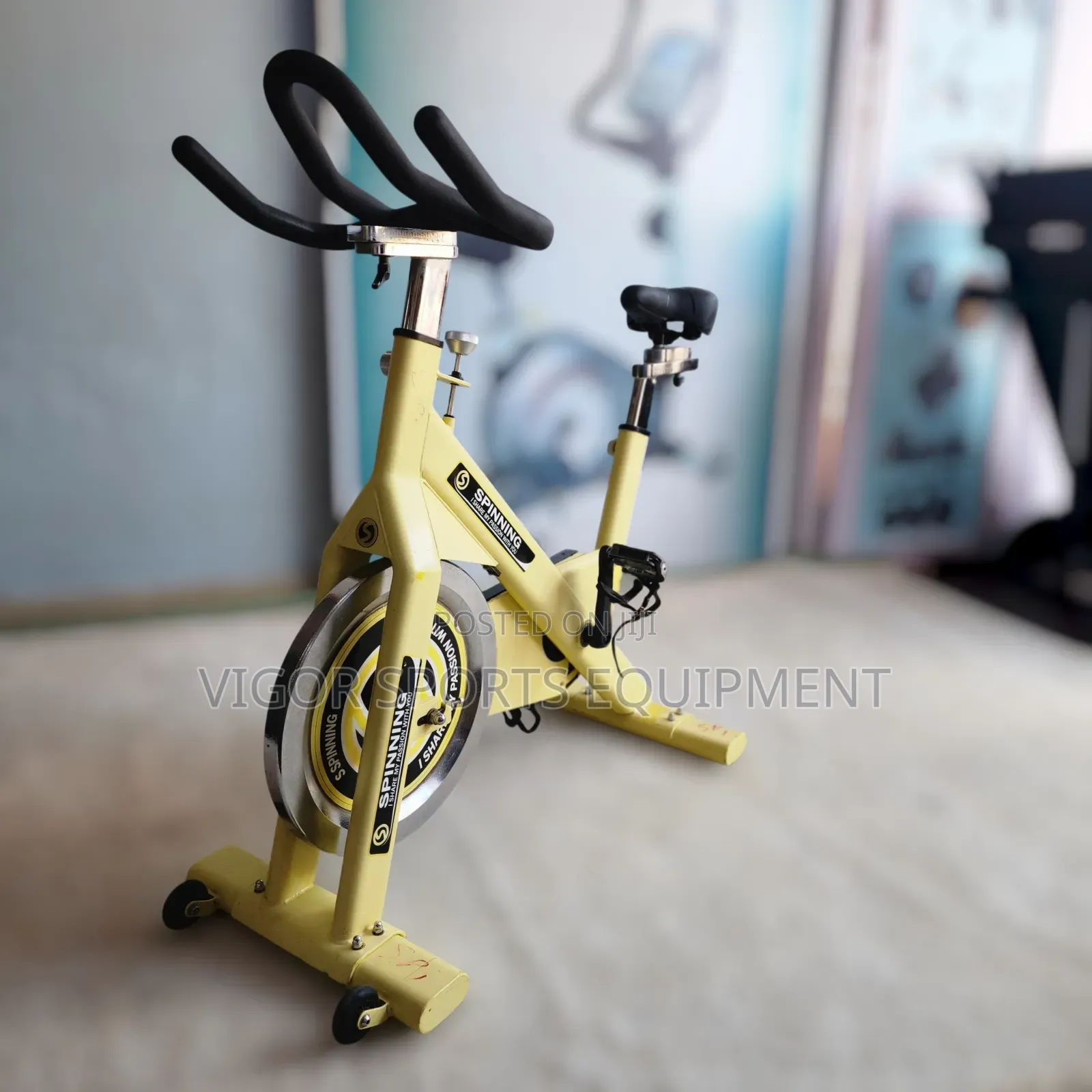 Vigor Spinning Bike
