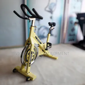 Vigor Spinning Bike