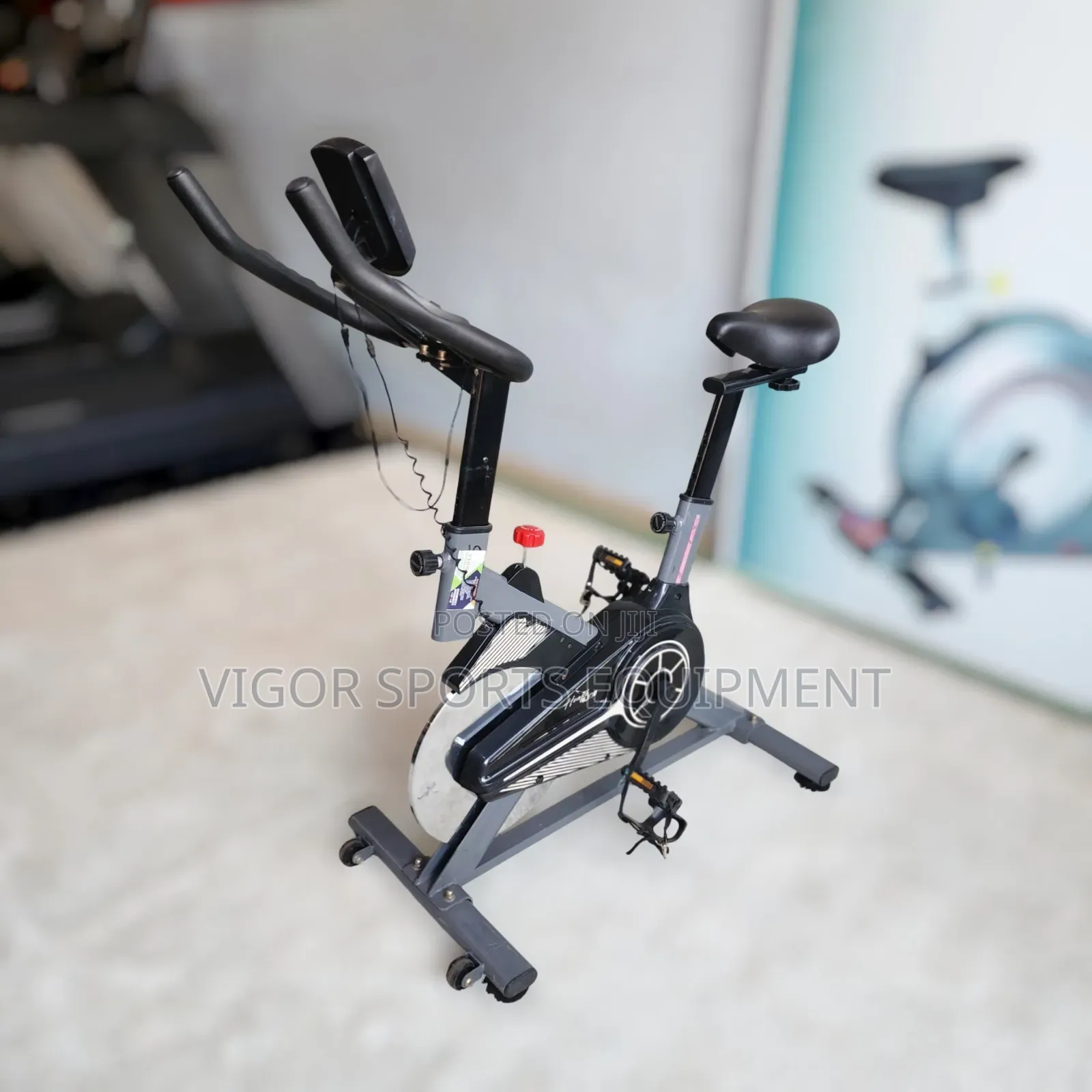 Domestic Spin Bike