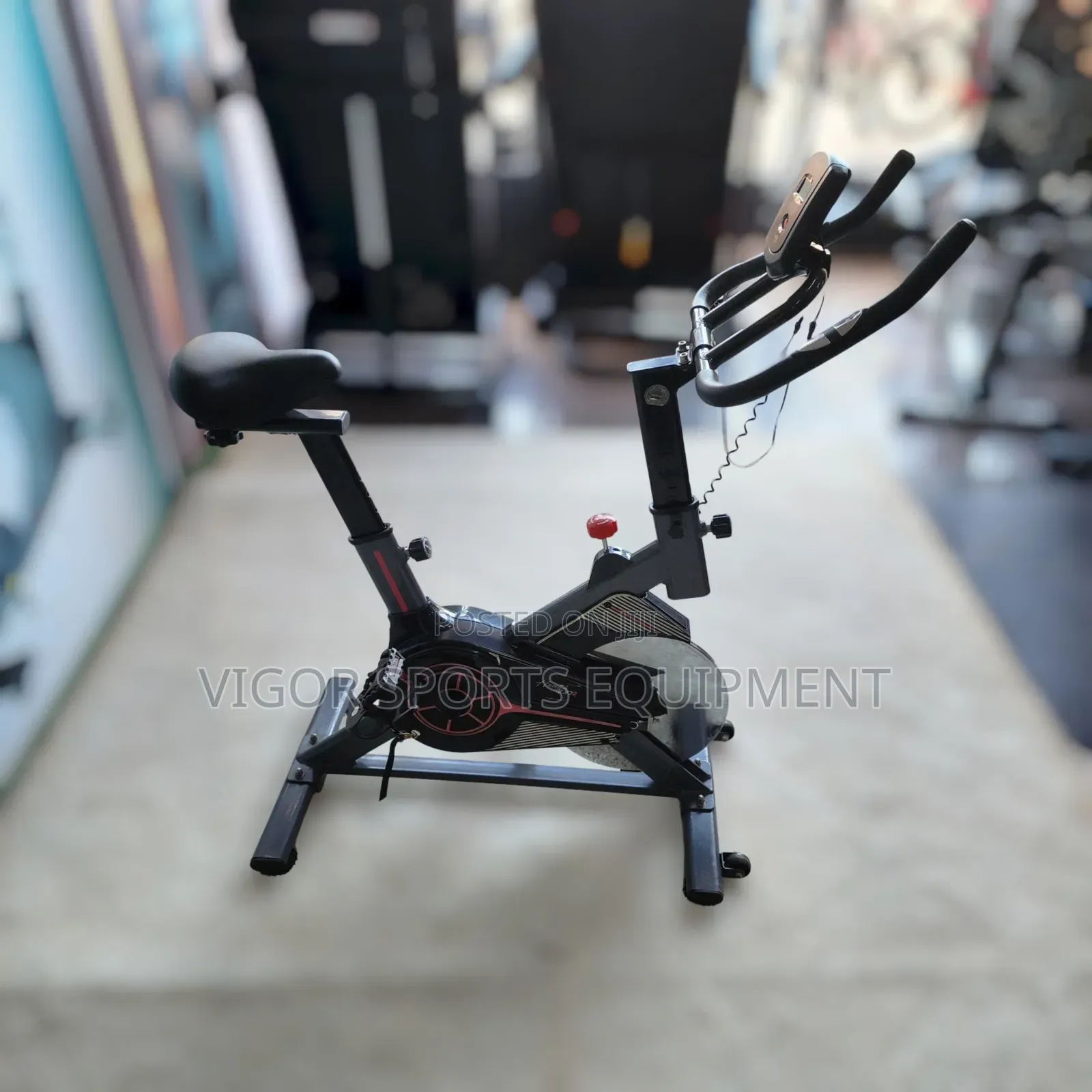 Domestic Spin Bike