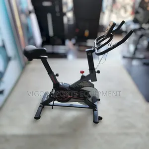 Domestic Spin Bike