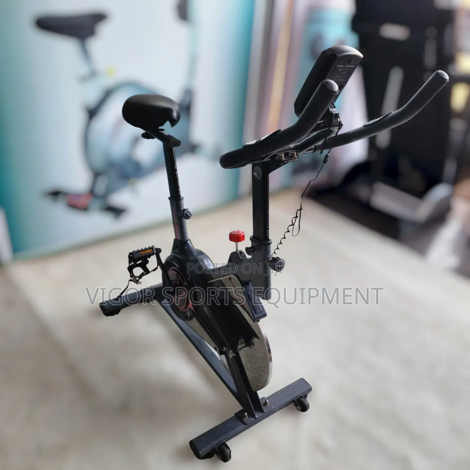 Domestic Spin Bike