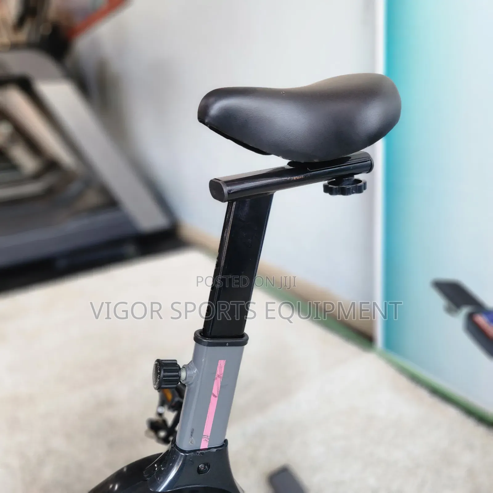 Domestic Spin Bike