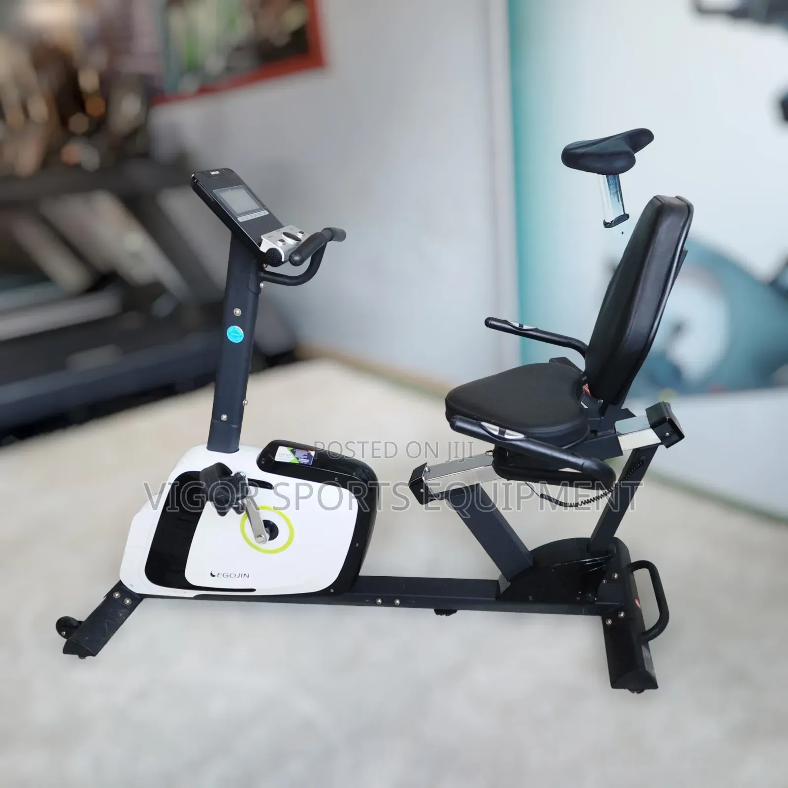 Gym Recumbent Bike