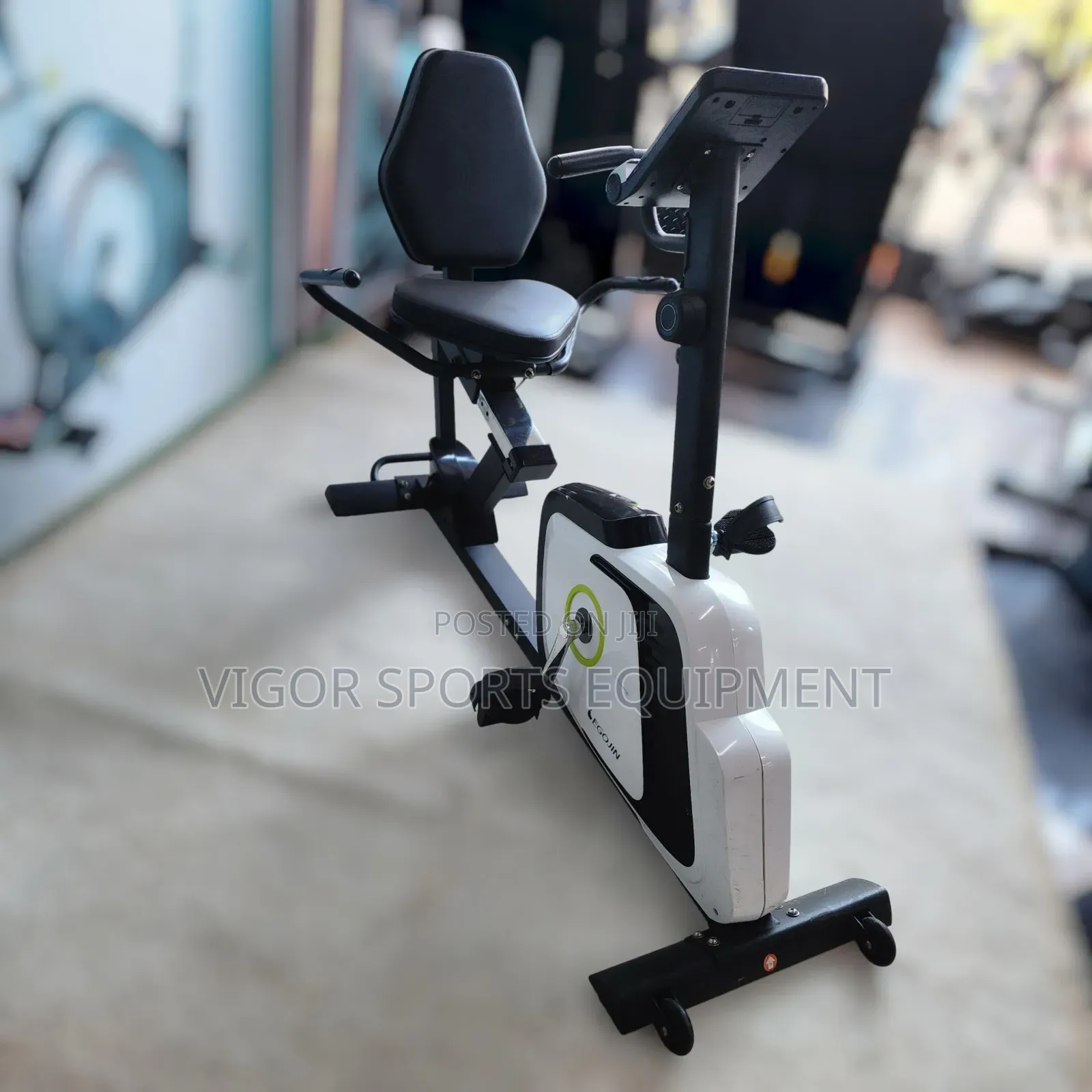 Gym Recumbent Bike