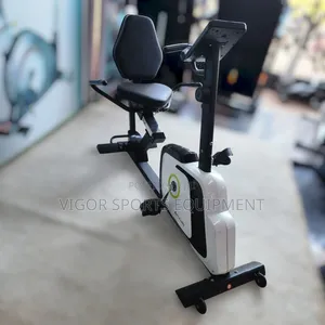 Gym Recumbent Bike