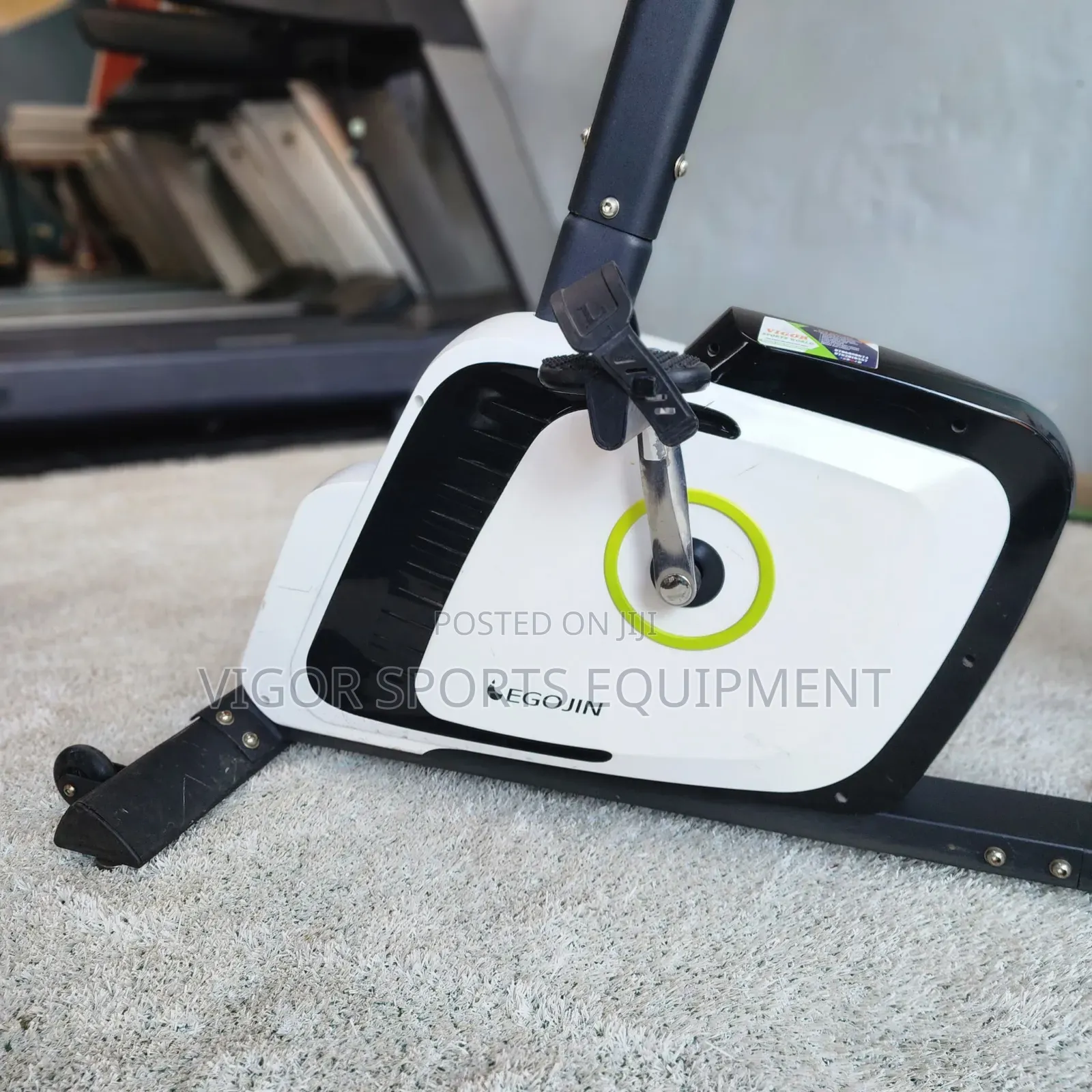 Gym Recumbent Bike