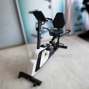 Gym Recumbent Bike
