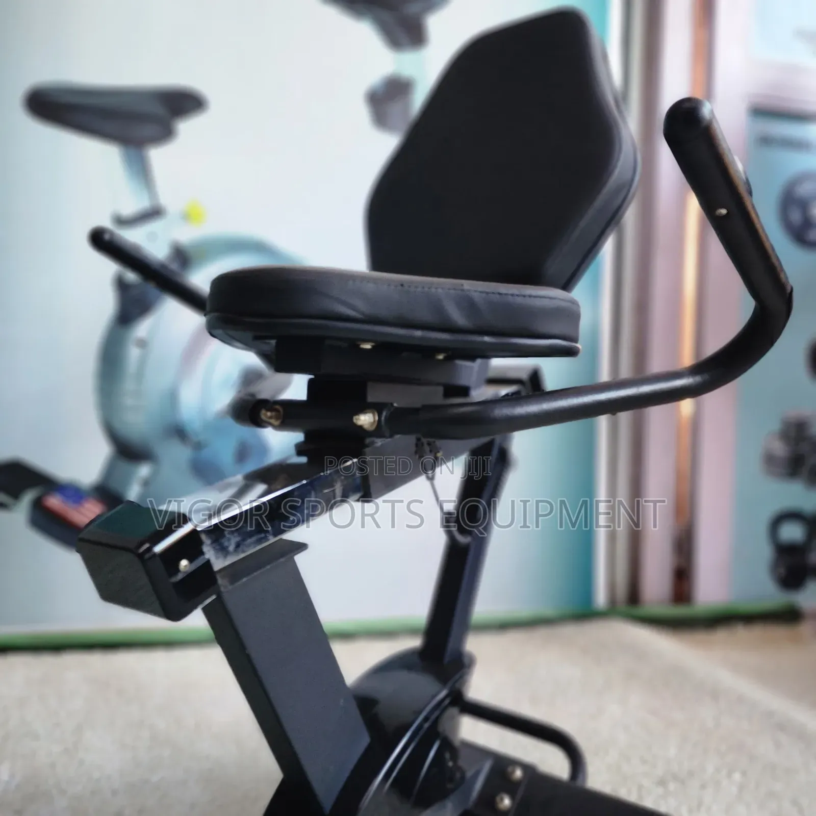 Gym Recumbent Bike