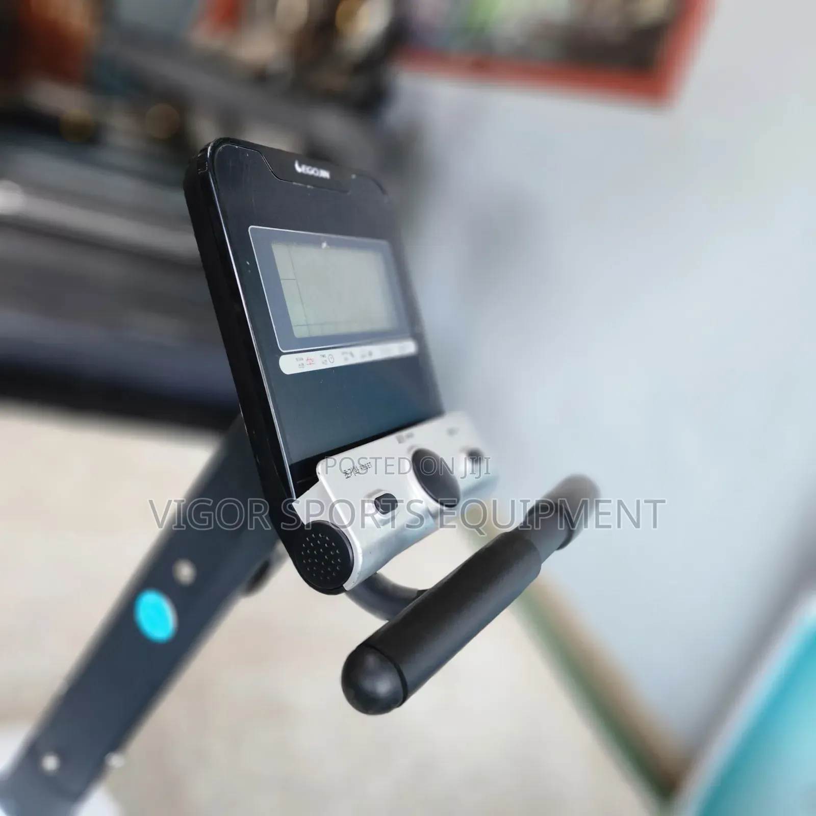 Gym Recumbent Bike