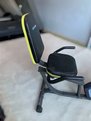 Domestic Recumbent Bike