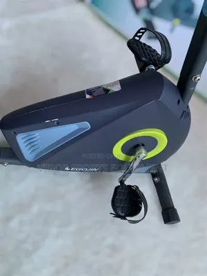 Domestic Recumbent Bike