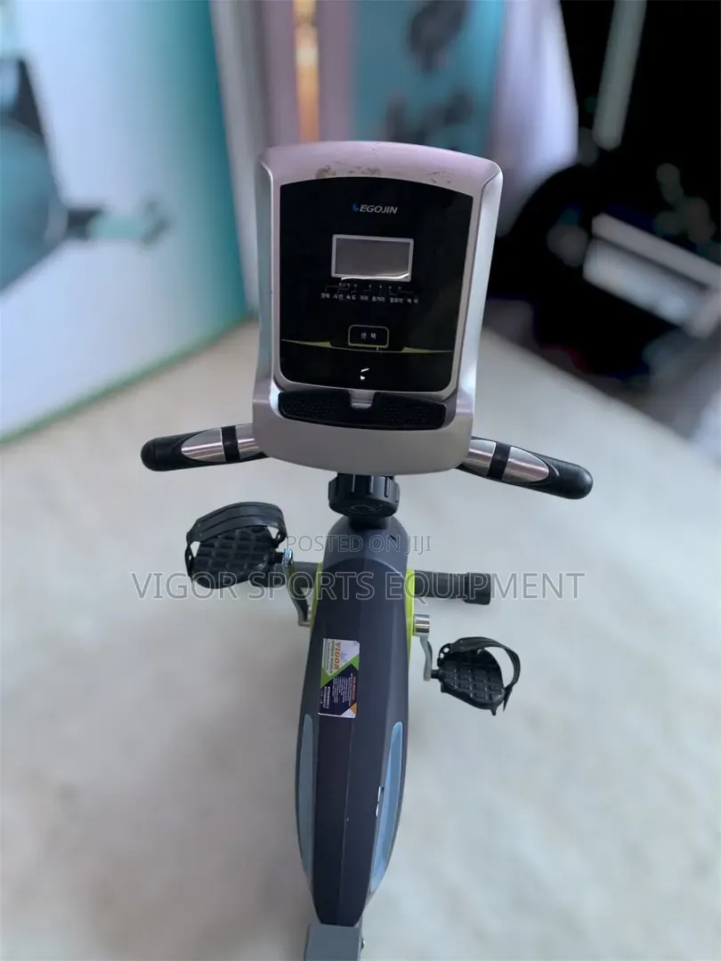 Domestic Recumbent Bike