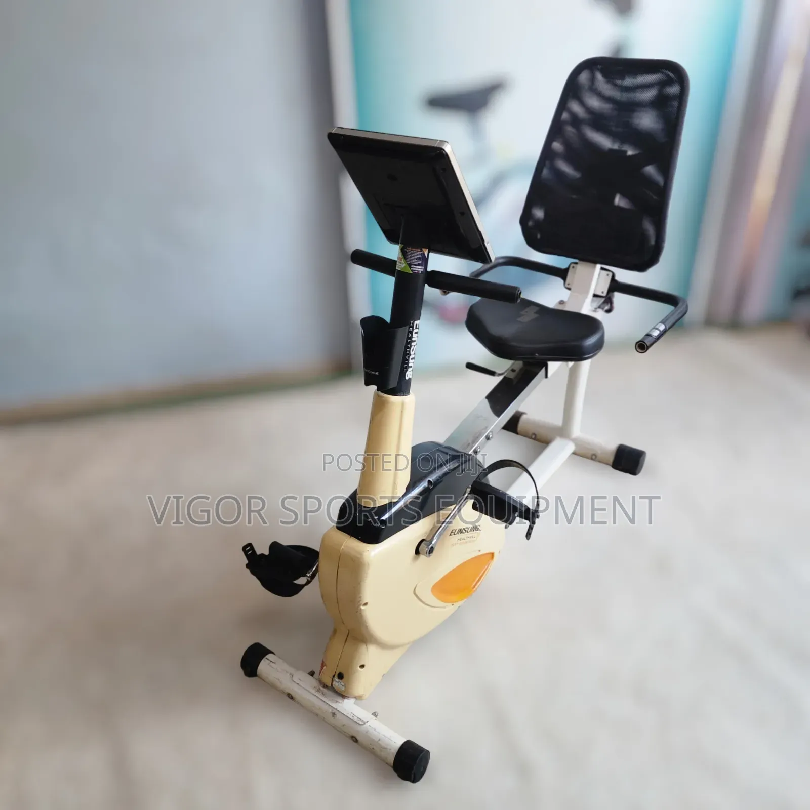 Exercise Recumbent Bike