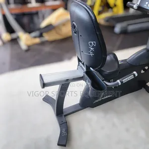 Life Fitness Recumbent Bike
