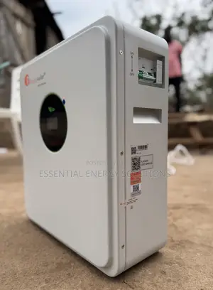 5kwh 24v Felicity Lithium Battery