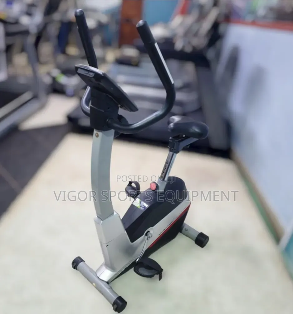 Vigor Stationary Bike