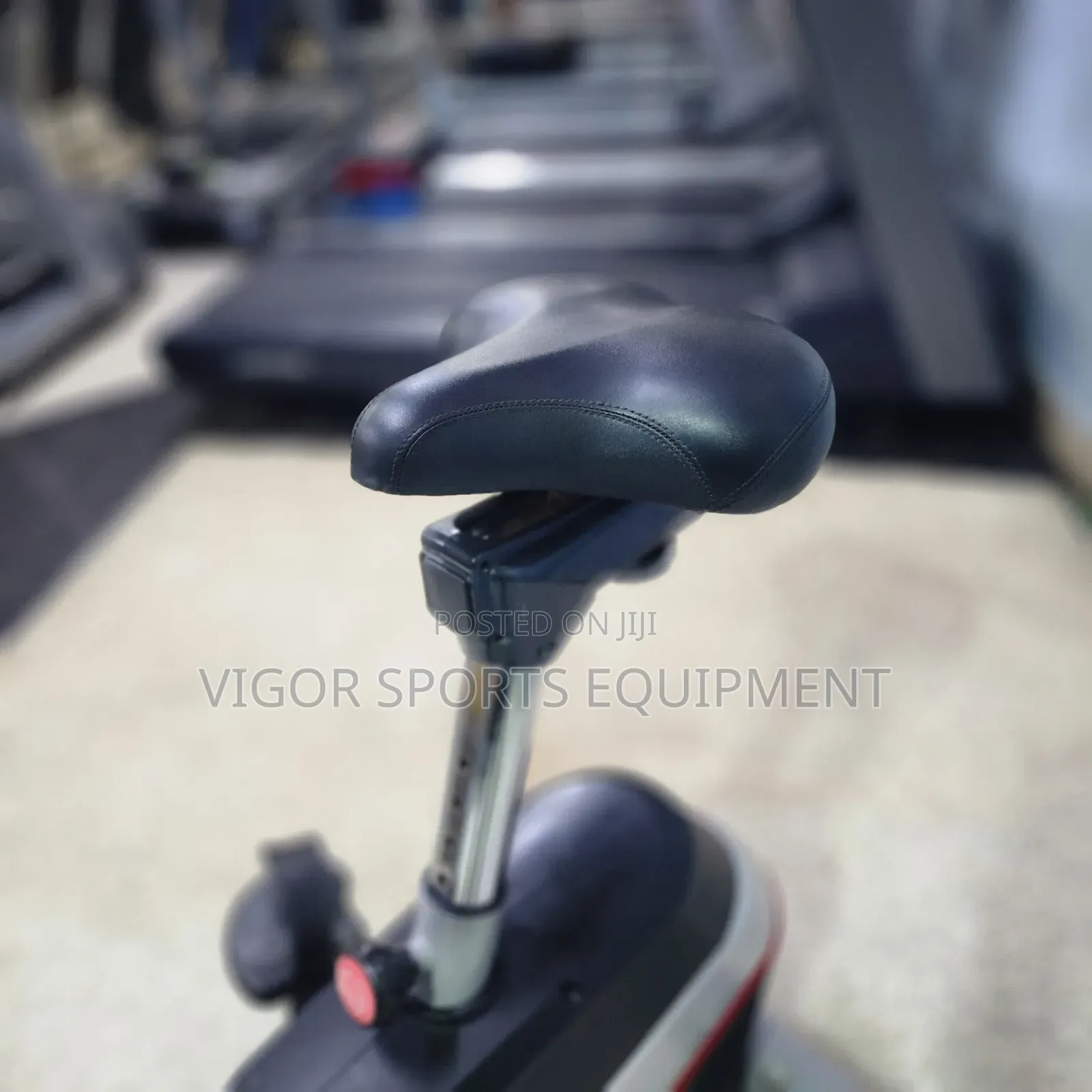 Vigor Stationary Bike