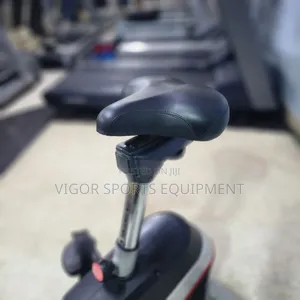 Vigor Stationary Bike