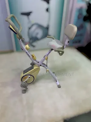 X- Stationary Bike