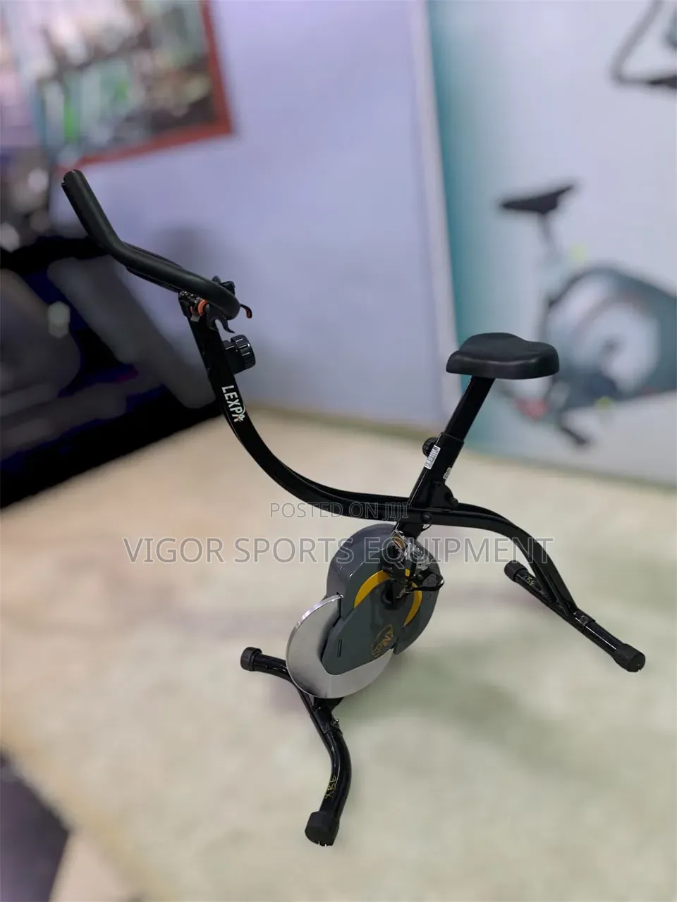 X-Spin Bike