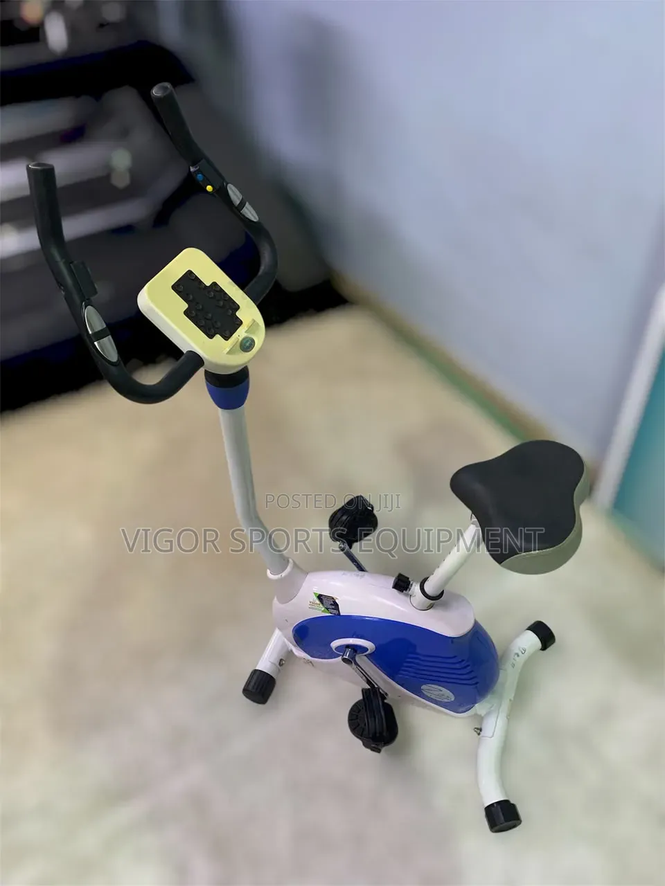 Stationary Gym Bike